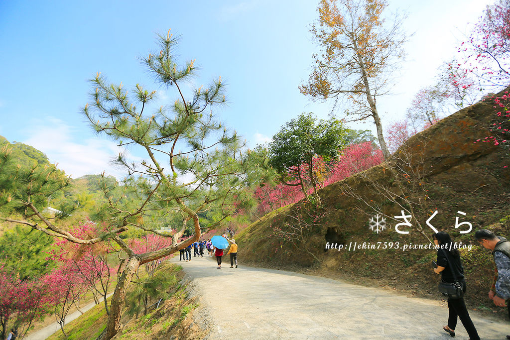 BQ1A3775.jpg BQ1A3775.jpg