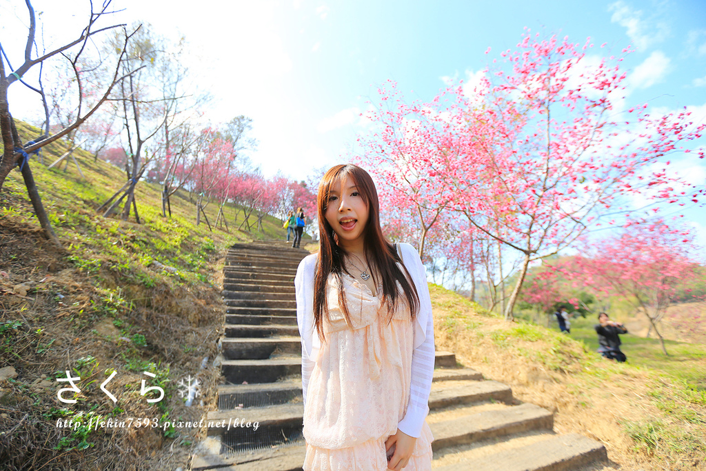 BQ1A3854.jpg BQ1A3854.jpg