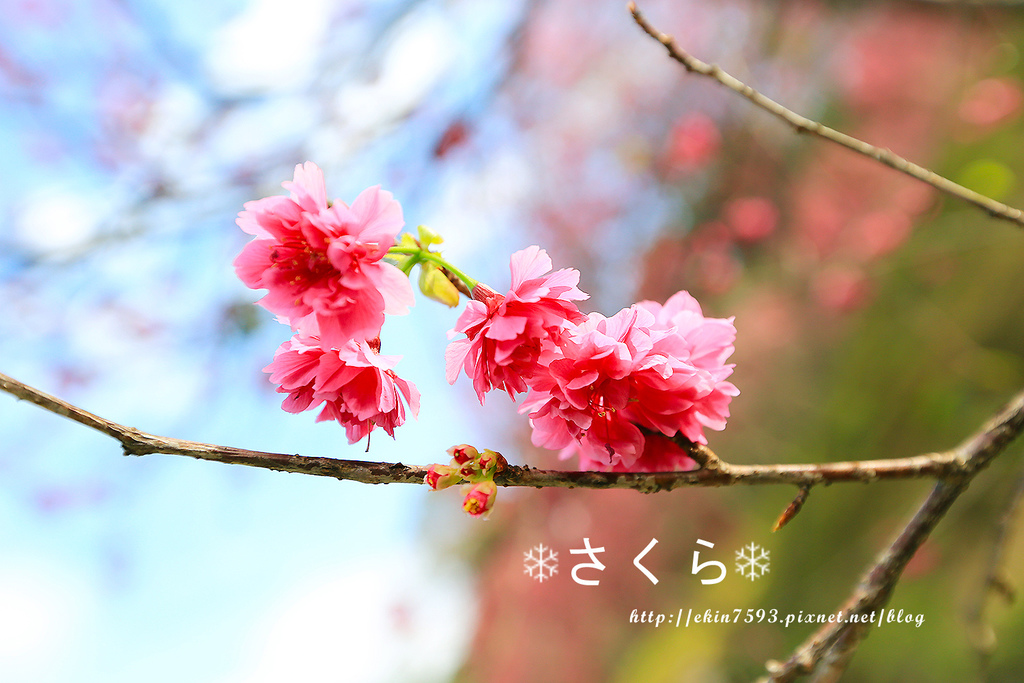 BQ1A3790.jpg BQ1A3790.jpg