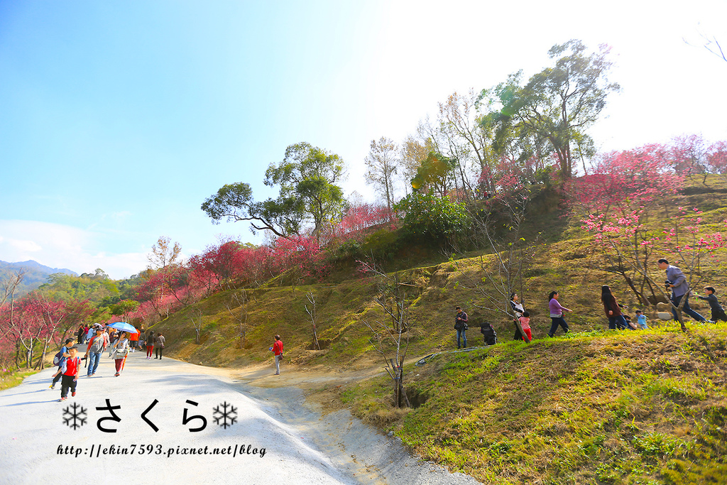 BQ1A3770.jpg BQ1A3770.jpg