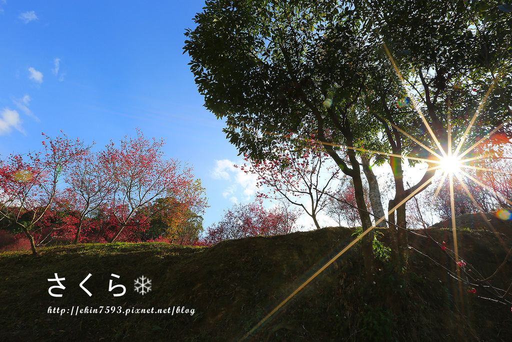 BQ1A3892.jpg BQ1A3892.jpg