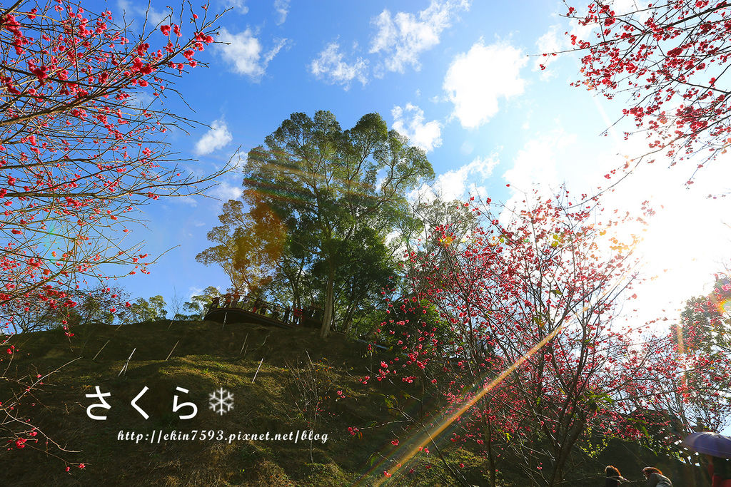 BQ1A3848.jpg BQ1A3848.jpg