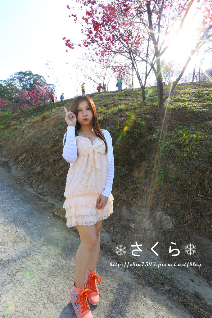 BQ1A3882.jpg BQ1A3882.jpg