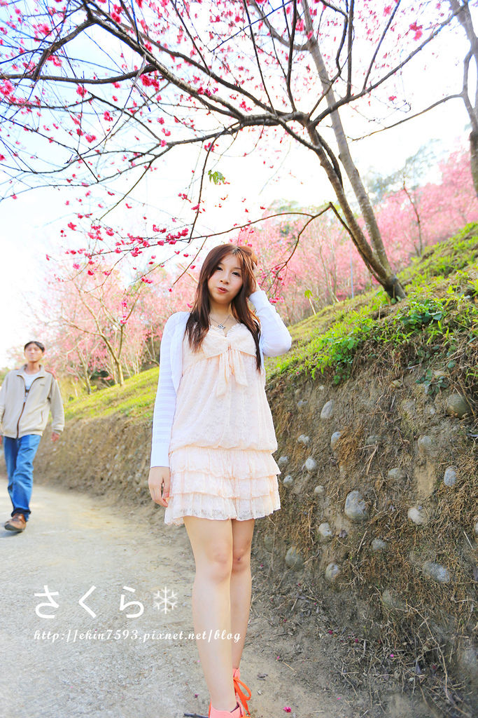 BQ1A3808.jpg BQ1A3808.jpg