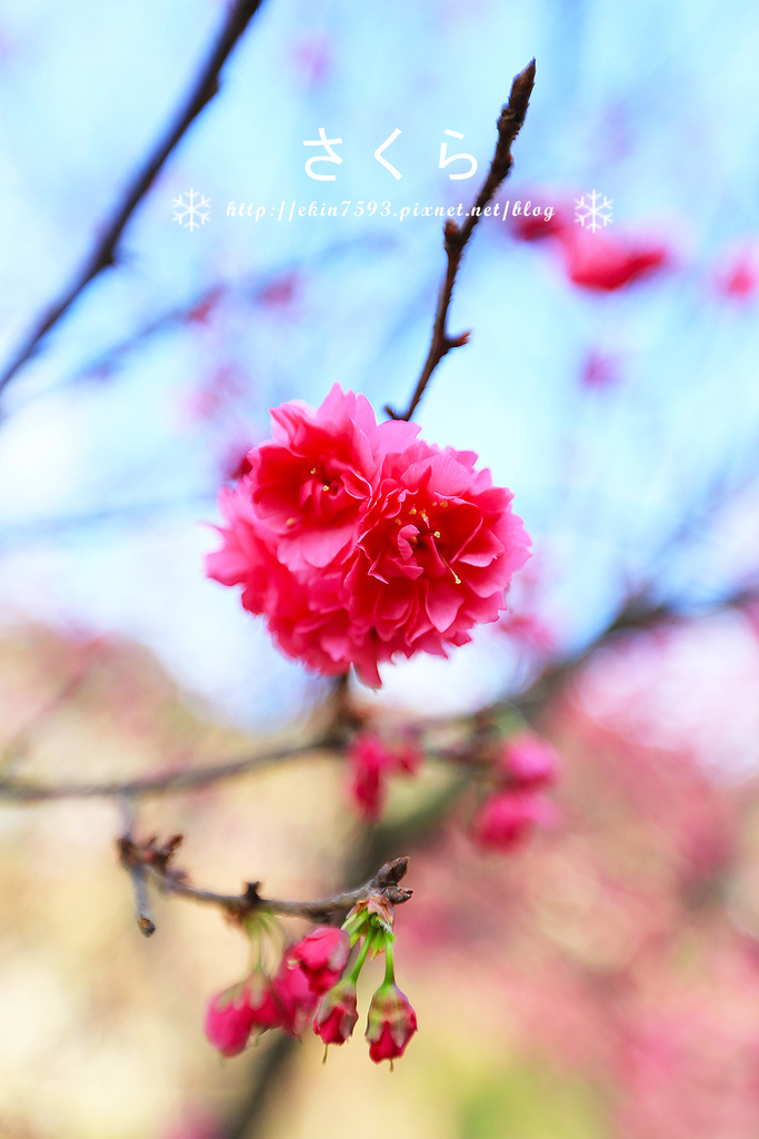 BQ1A3773.jpg BQ1A3773.jpg