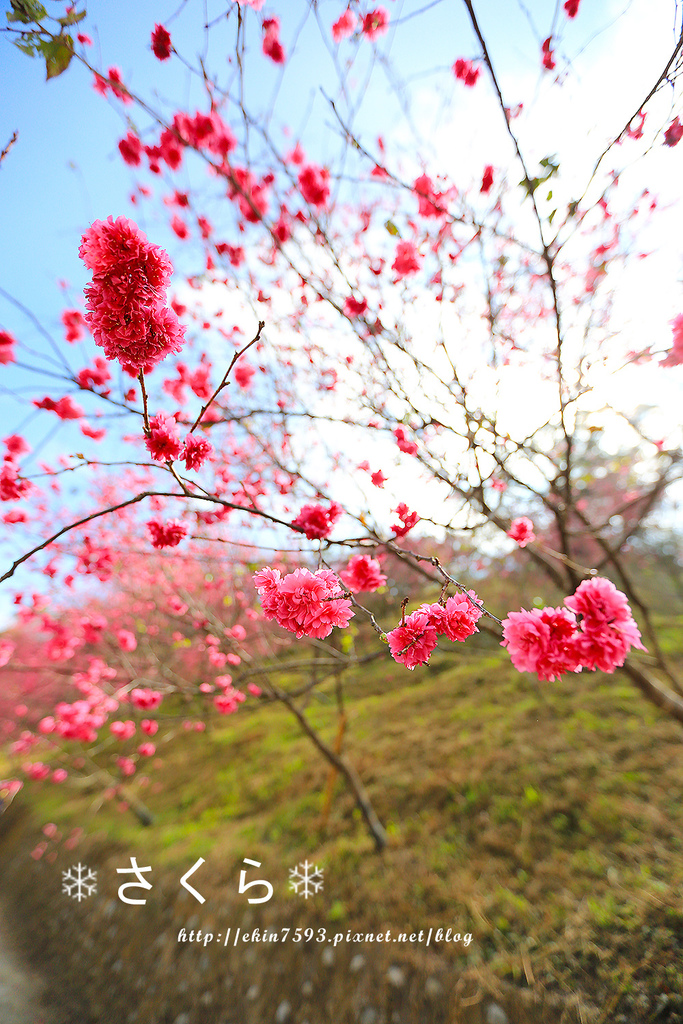 BQ1A3778.jpg BQ1A3778.jpg