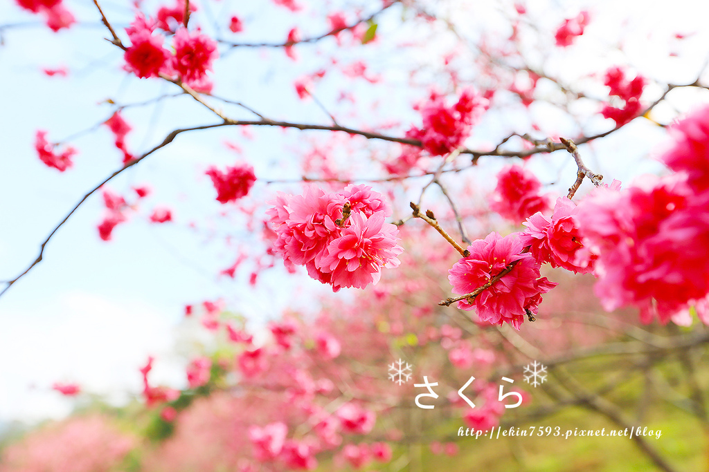 BQ1A3781.jpg BQ1A3781.jpg