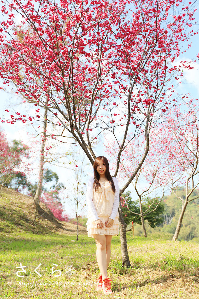 BQ1A3816.jpg BQ1A3816.jpg