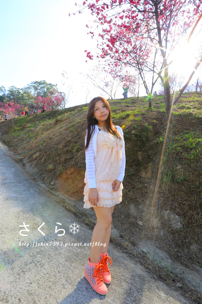 BQ1A3881.jpg BQ1A3881.jpg