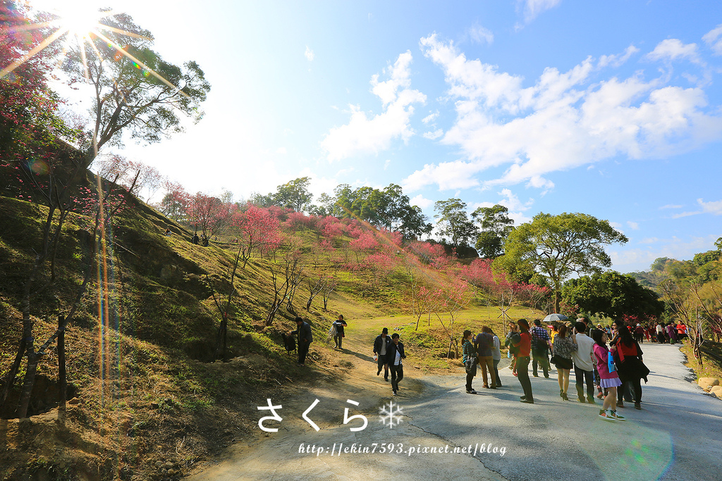 BQ1A3895.jpg BQ1A3895.jpg