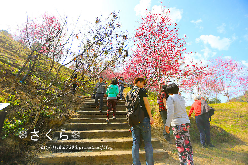 BQ1A3814.jpg BQ1A3814.jpg