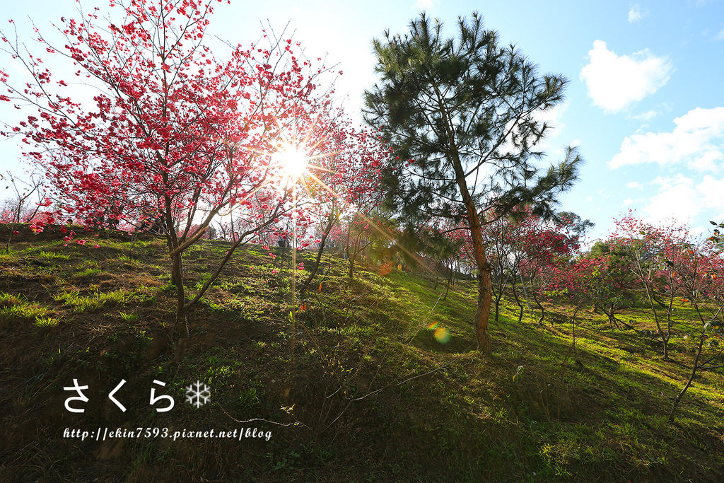 BQ1A3869.jpg BQ1A3869.jpg