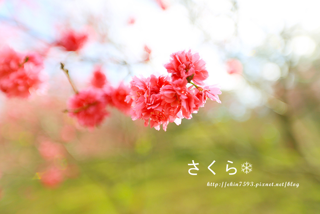 BQ1A3780.jpg BQ1A3780.jpg