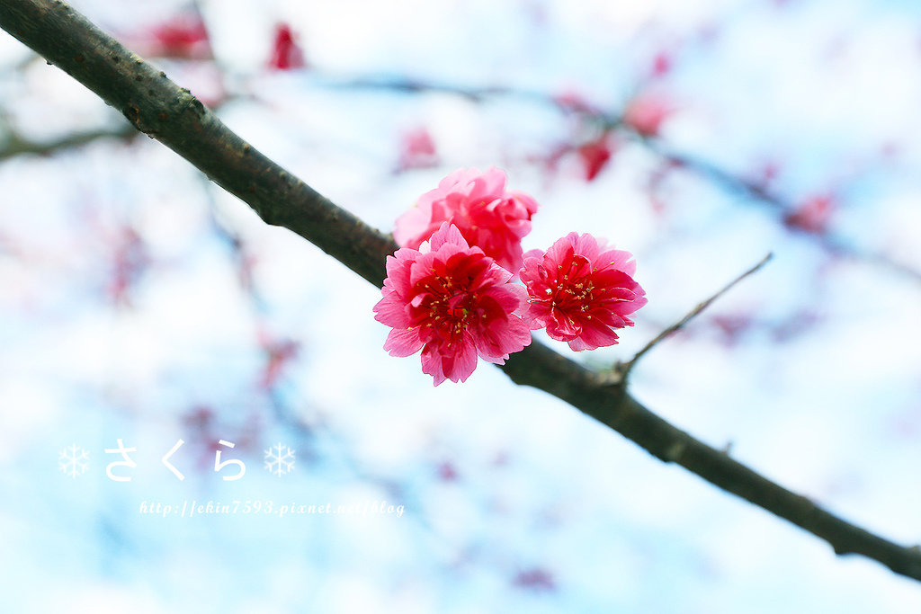 BQ1A3791.jpg BQ1A3791.jpg