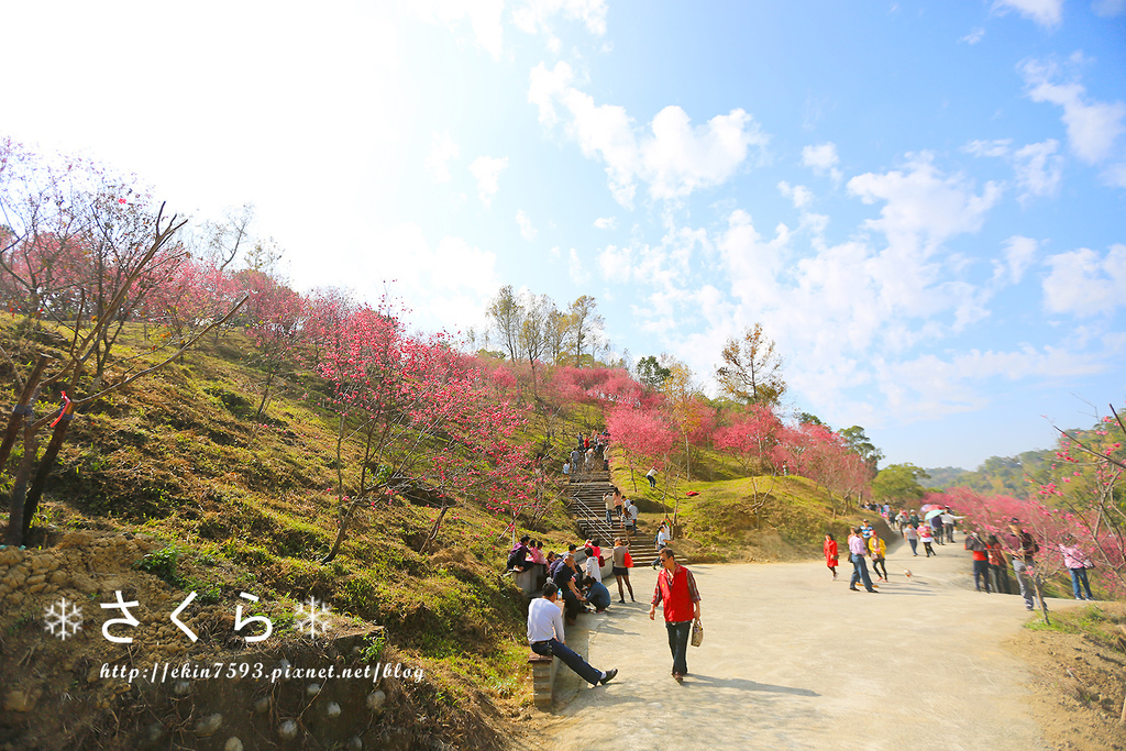 BQ1A3810.jpg BQ1A3810.jpg