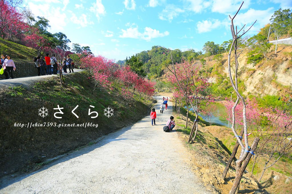 BQ1A3864.jpg BQ1A3864.jpg