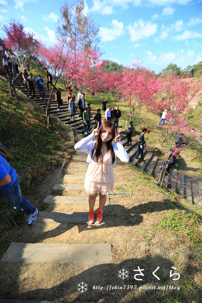 BQ1A3851.jpg BQ1A3851.jpg