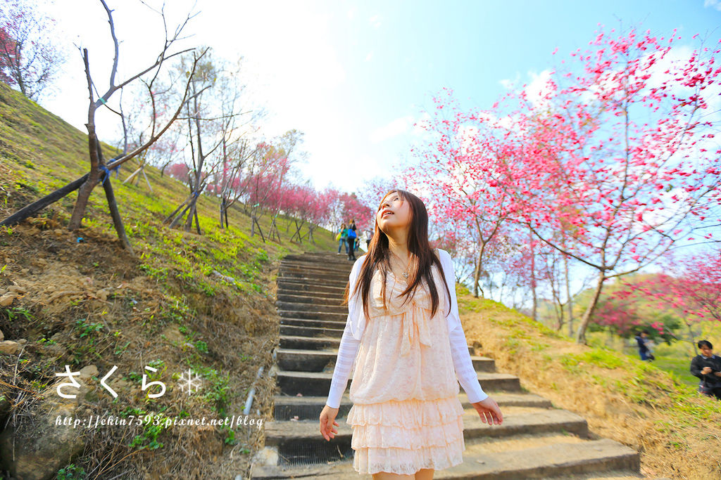 BQ1A3855.jpg BQ1A3855.jpg