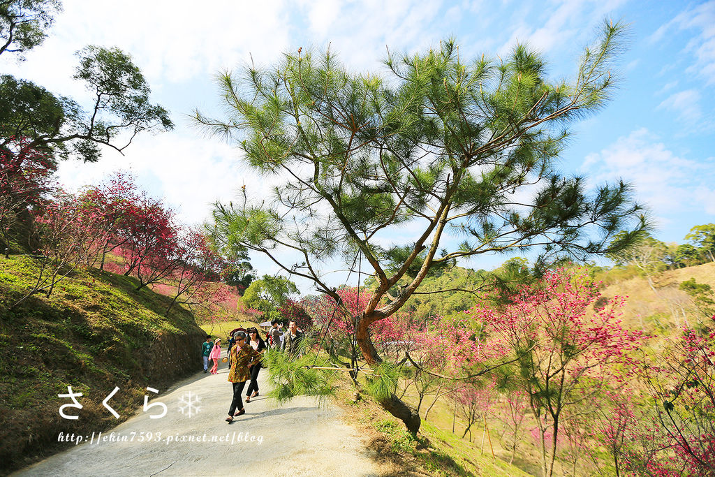 BQ1A3774.jpg BQ1A3774.jpg