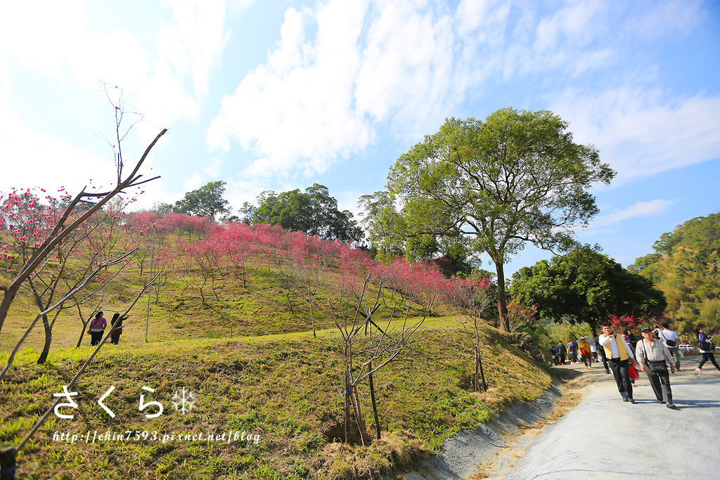 BQ1A3771.jpg BQ1A3771.jpg