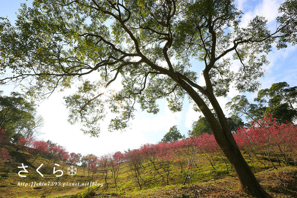 BQ1A3767.jpg BQ1A3767.jpg