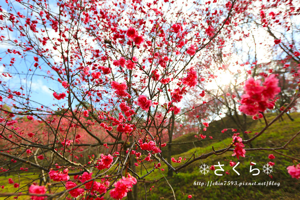 BQ1A3792.jpg BQ1A3792.jpg