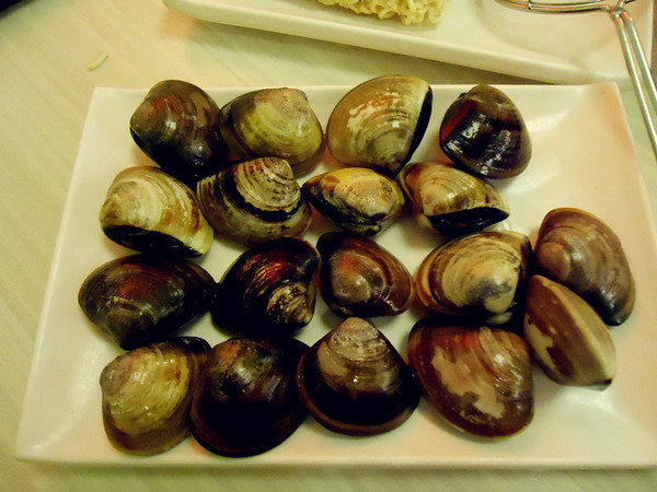 石二鍋(中興店)：【台中火鍋食記】物美價廉的美味火鍋真是造福人民阿@王品集團石二鍋大里中興店