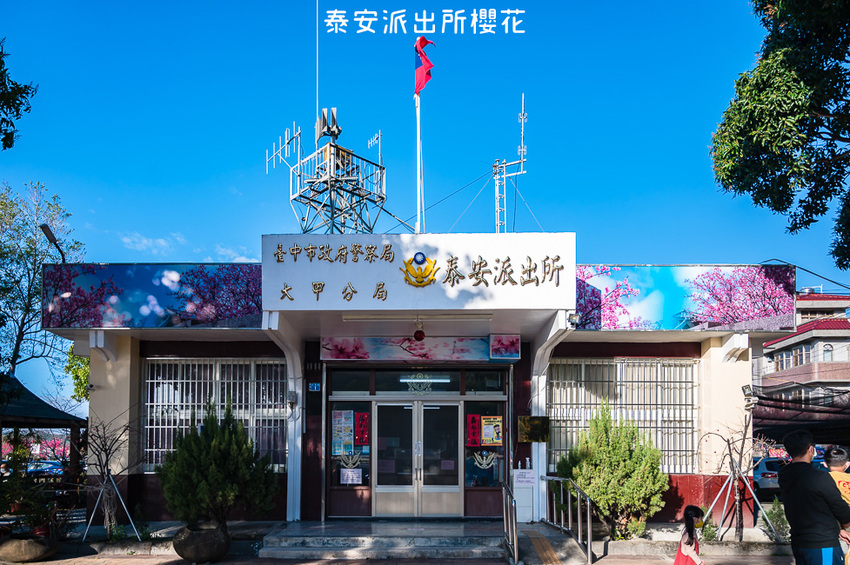 ｜台中景點｜2021年泰安櫻花季，全台最美的泰安派出所，粉紅櫻花盛開中 - Hallo！Im 婷兒