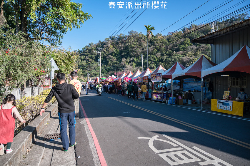 ｜台中景點｜2021年泰安櫻花季，全台最美的泰安派出所，粉紅櫻花盛開中 - Hallo！Im 婷兒
