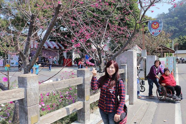 泰安派出所櫻花：【台中景點】全台最美麗的台中泰安派出所~八重警櫻柔美櫻花重重包圍/最佳賞櫻熱點/IG熱門打卡景點