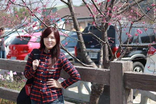 泰安派出所櫻花：【台中景點】全台最美麗的台中泰安派出所~八重警櫻柔美櫻花重重包圍/最佳賞櫻熱點/IG熱門打卡景點