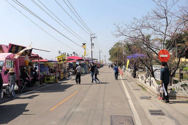 泰安派出所櫻花：【台中景點】全台最美麗的台中泰安派出所~八重警櫻柔美櫻花重重包圍/最佳賞櫻熱點/IG熱門打卡景點
