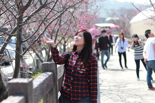 泰安派出所櫻花：【台中景點】全台最美麗的台中泰安派出所~八重警櫻柔美櫻花重重包圍/最佳賞櫻熱點/IG熱門打卡景點