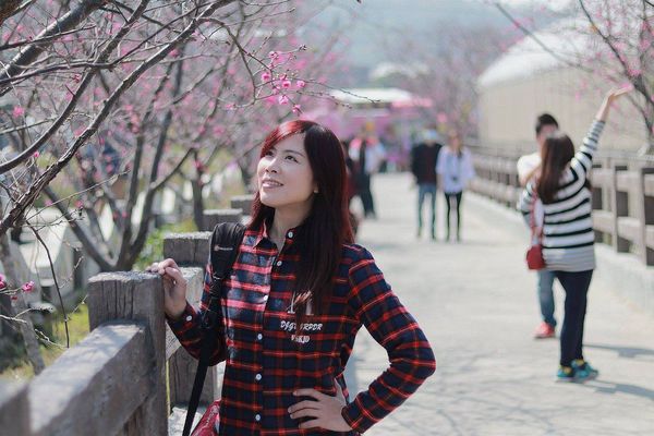 泰安派出所櫻花：【台中景點】全台最美麗的台中泰安派出所~八重警櫻柔美櫻花重重包圍/最佳賞櫻熱點/IG熱門打卡景點