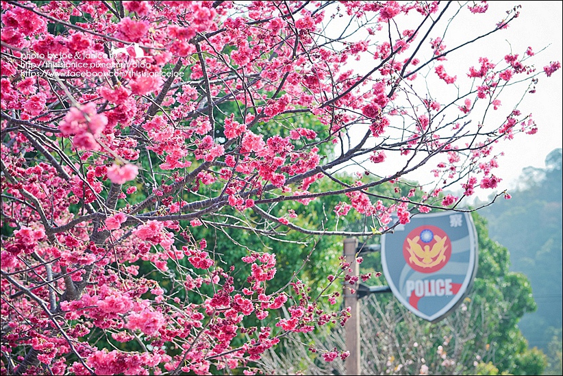 DSC_2393-2.jpg DSC_2393-2.jpg