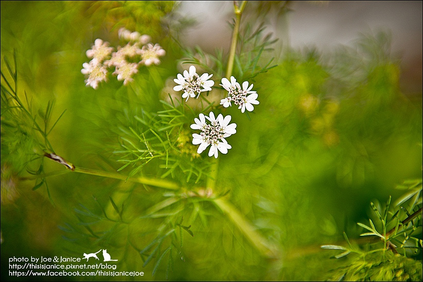 DSC_2355-2.jpg DSC_2355-2.jpg