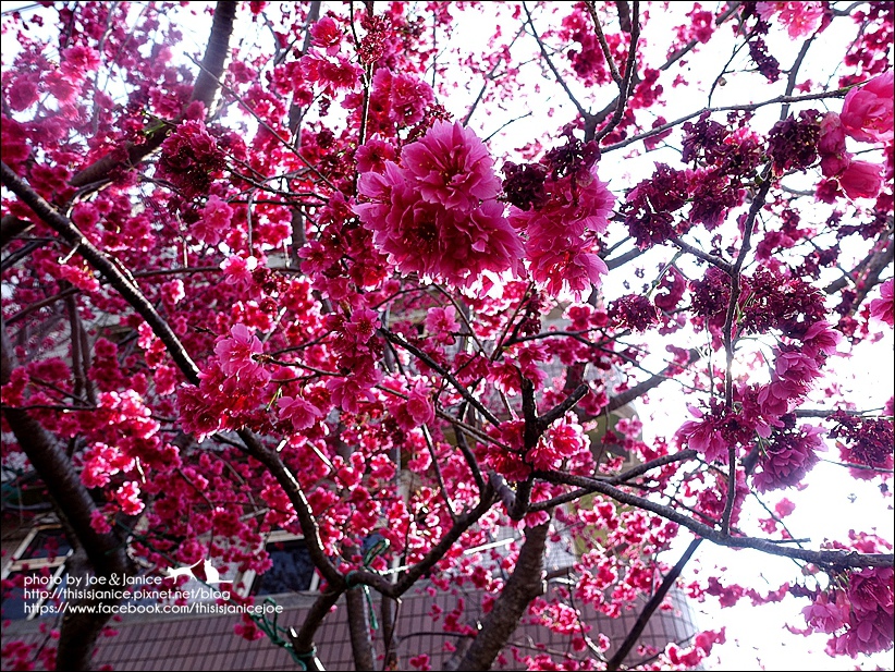 DSC03391.JPG DSC03391.JPG