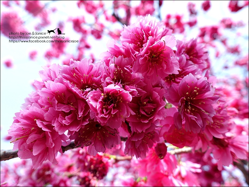 DSC03385.JPG DSC03385.JPG