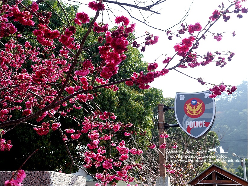 DSC03384.JPG DSC03384.JPG