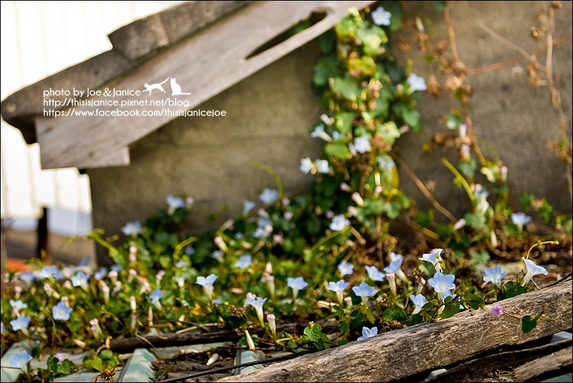 DSC_2360-2.jpg DSC_2360-2.jpg