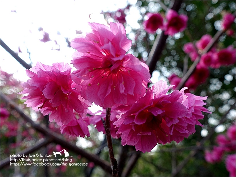 DSC03373.JPG DSC03373.JPG