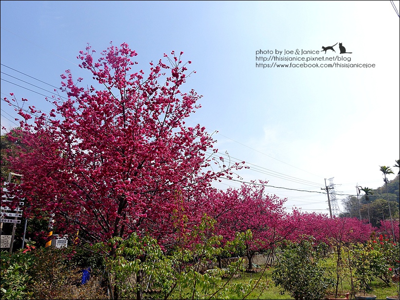 DSC03394.JPG DSC03394.JPG