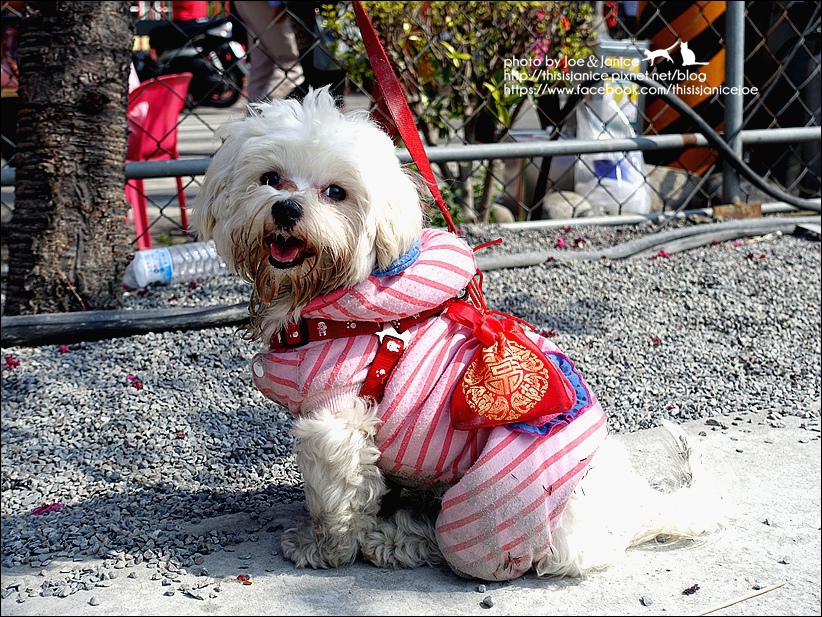 DSC03380.JPG DSC03380.JPG