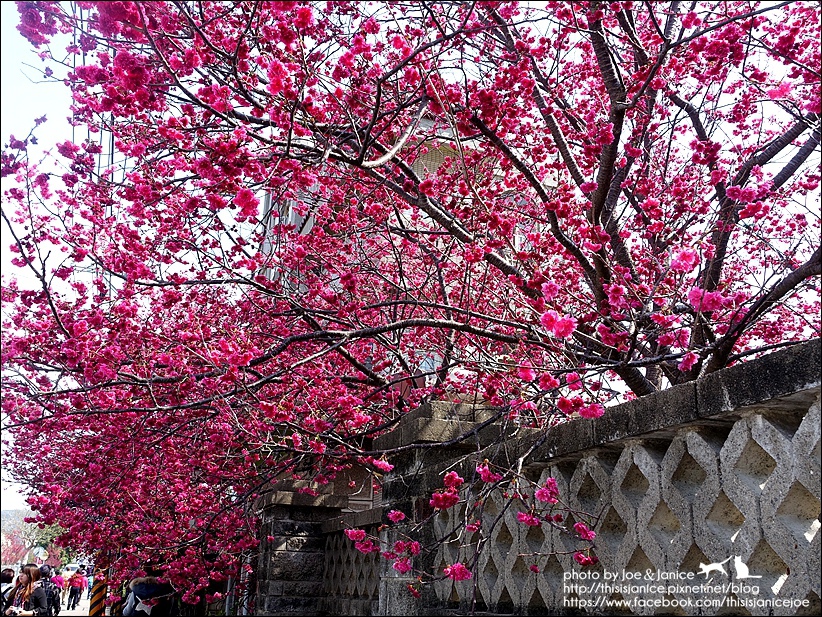 DSC03390.JPG DSC03390.JPG