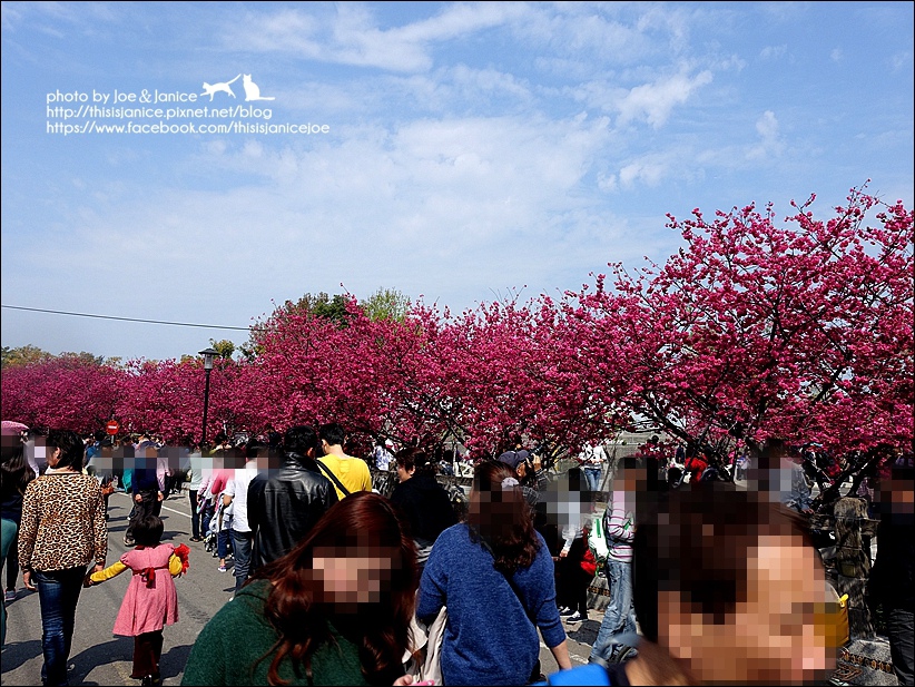 DSC03383.JPG DSC03383.JPG