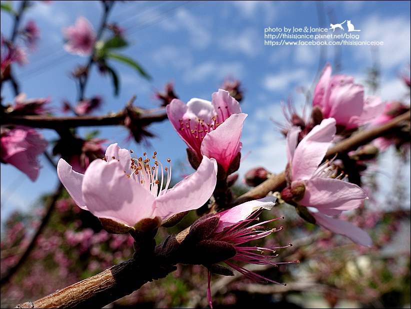 DSC03403.JPG DSC03403.JPG