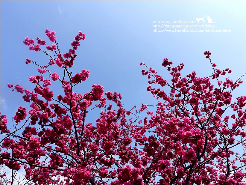 DSC03386.JPG DSC03386.JPG