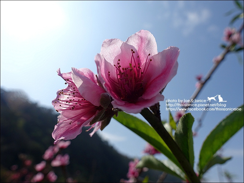 DSC03405.JPG DSC03405.JPG