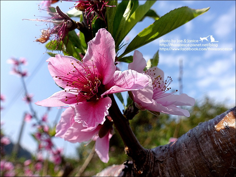 DSC03400.JPG DSC03400.JPG