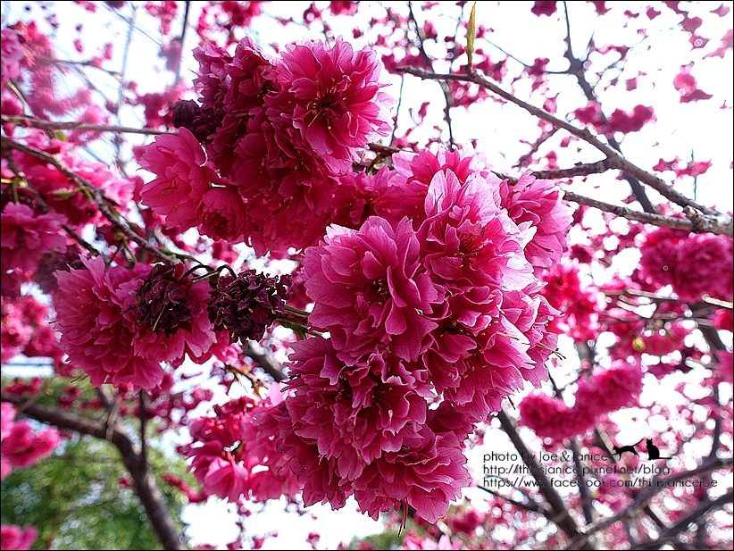 DSC03377.JPG DSC03377.JPG